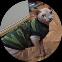 dgabrail