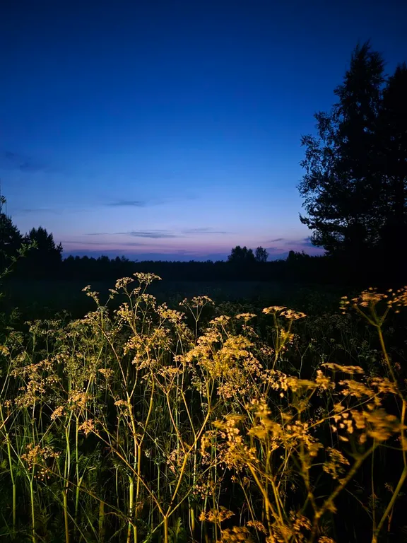 Эко - дом в лесу в гостях у Миродары