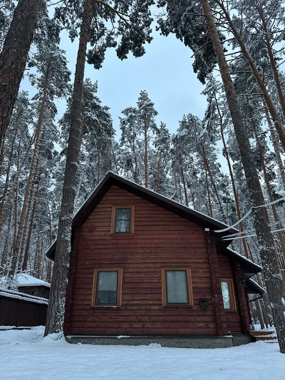 Уютный дом в лесу