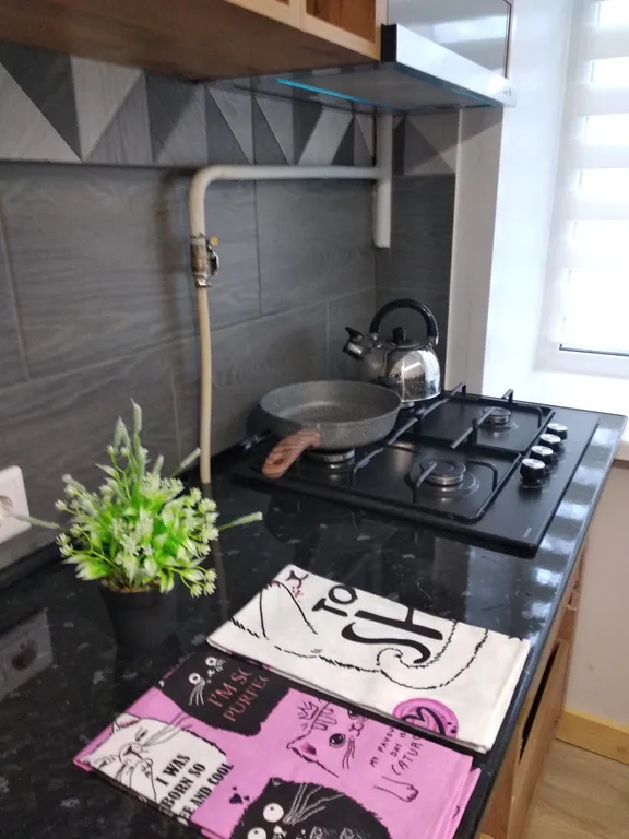 Студия для 4 гостей в центре