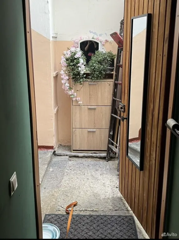 Квартира рядом с Мариинкой