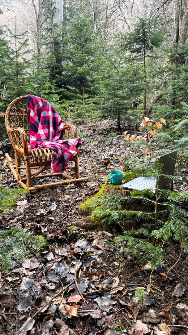 В нашем лесу есть прекрасное место для небольшой фотосессии. Кресло и пледик предоставим )