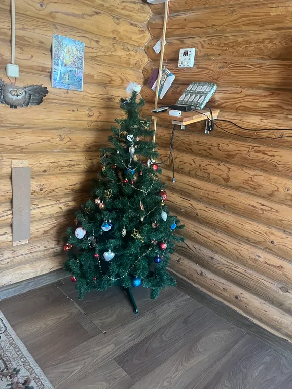 Уютный дом в тихом месте