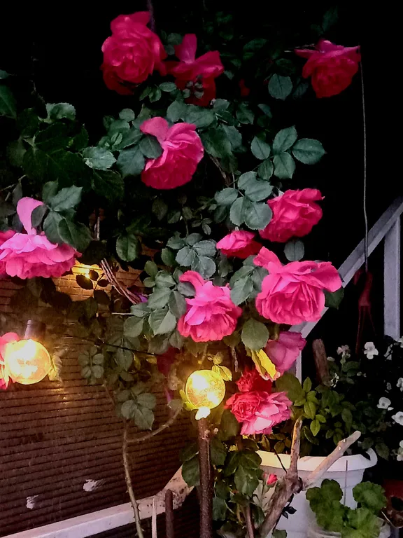 Гостевой домик у реки