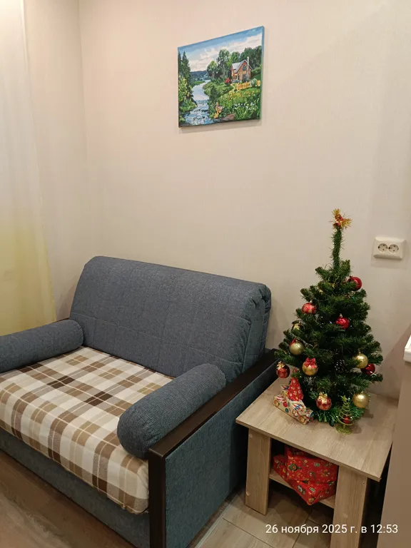 Квартира с видом на Неву