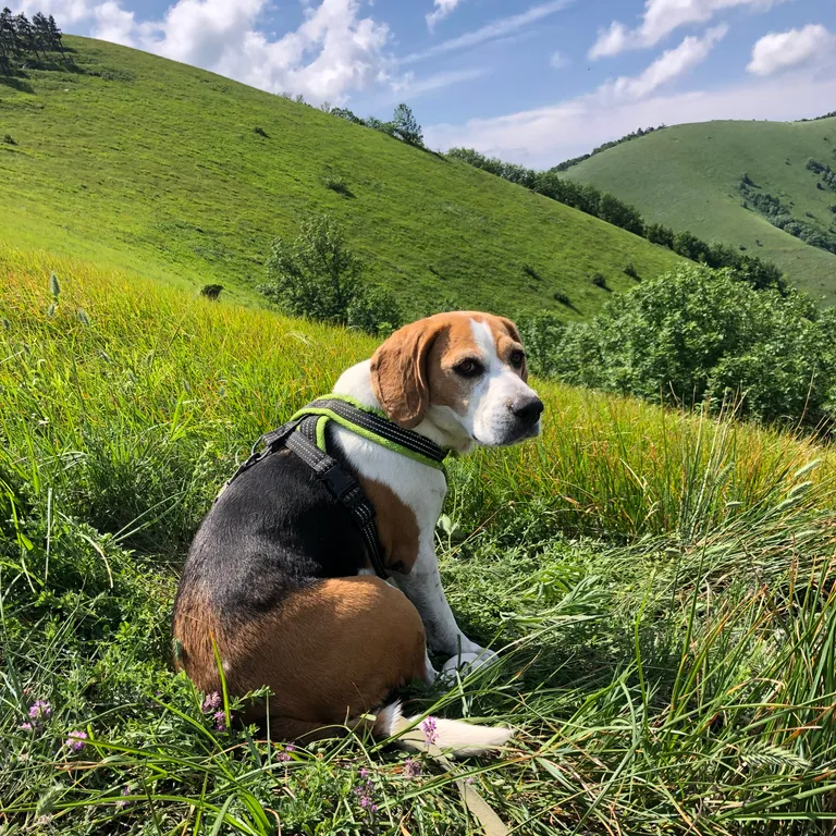 Дом с видом на море