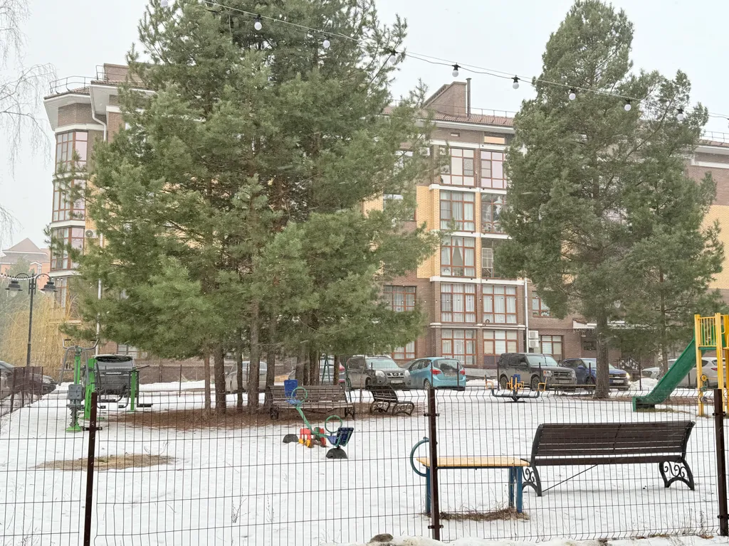 Апартамент в сосновом лесу