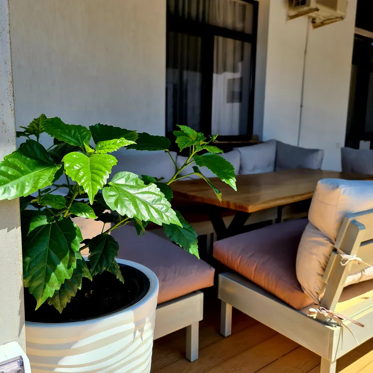 Дом на Фиоленте