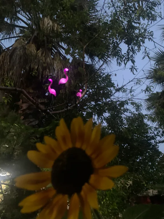 Квартира Комната — Адлер