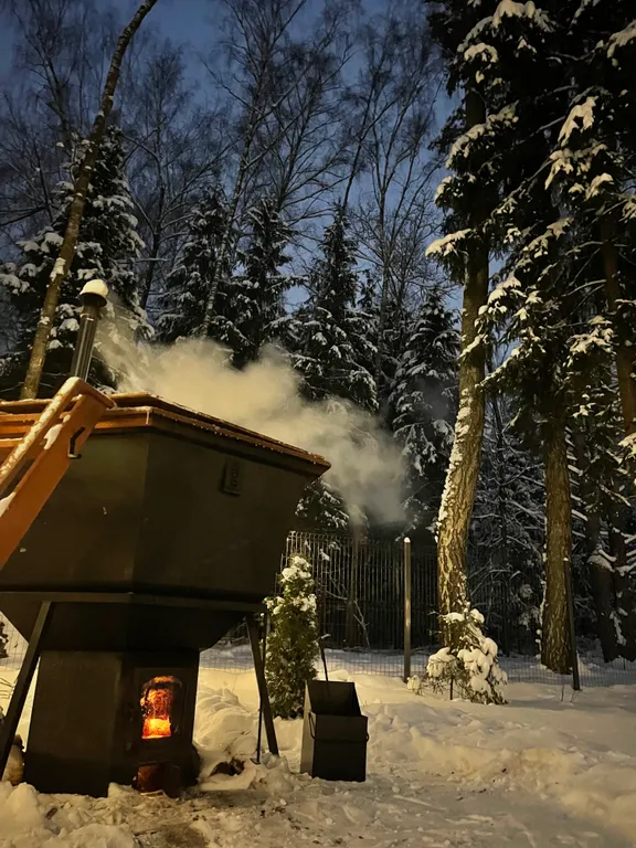 Отдых в доме в лесу с чаном и бассейном
