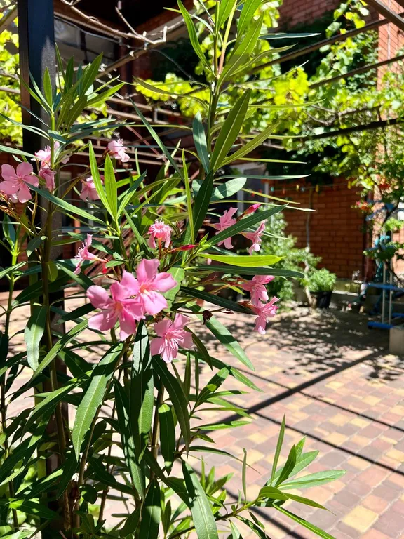 Квартира Комната — Геленджик