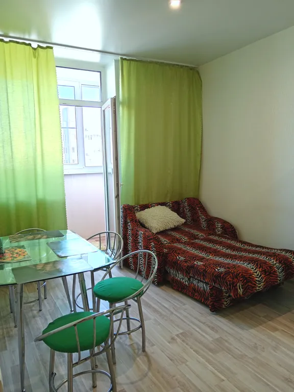 Уютная однушка в новом жилом комплексе Новая жизнь