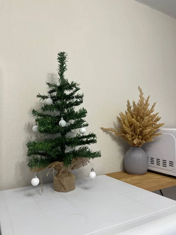 Уютная однокомнатная квартира