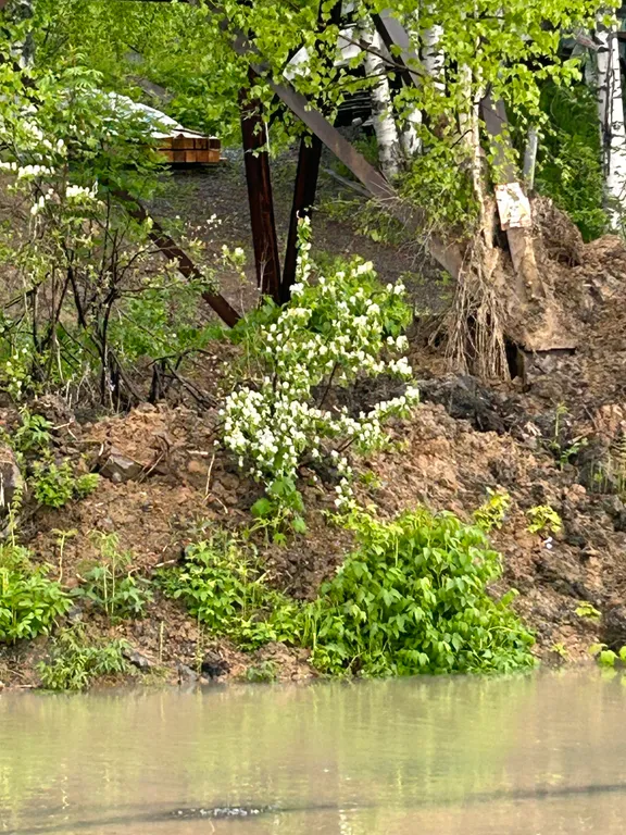 Квартира Квартира Уютный модульный домик — Шерегеш