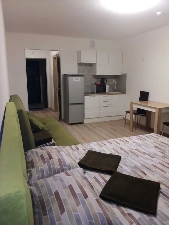 Квартира Апартаменты у Аэропорта — аренда посуточно в Екатеринбург