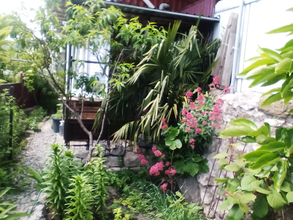 Видовая студия с террасой вид на море и горы