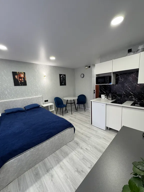 Уютная студия в центре