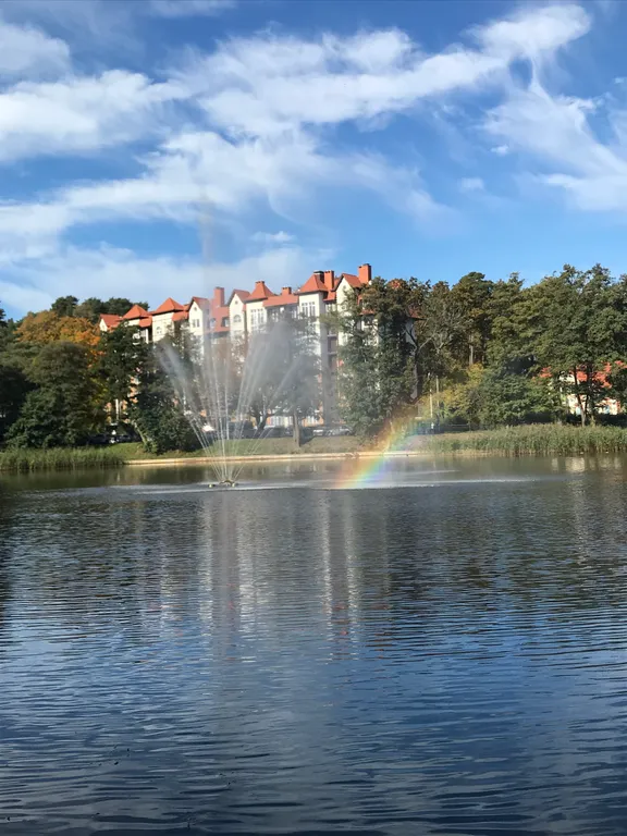 Квартира Уютная квартира в центре — Светлогорск