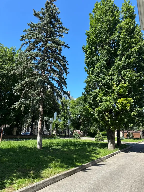 Уютная квартира в центре курзоны