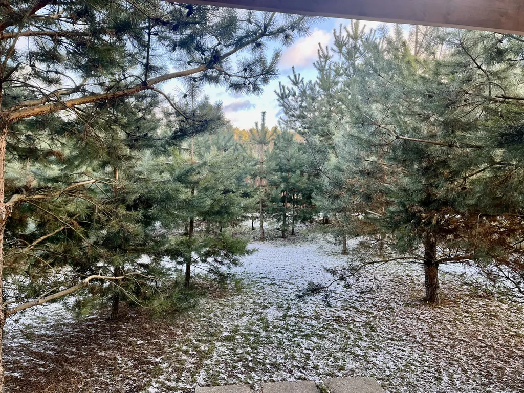 Коттедж 42 метра в лесу у пруда