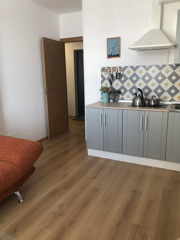 Квартира 1-комнатная Квартира — Песочный