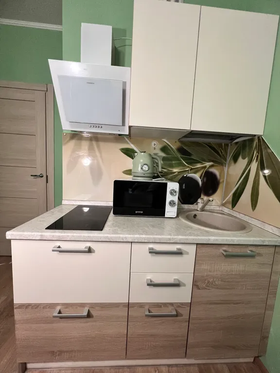 Вместительная студия в мурино