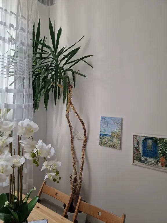 Апартамент в центре города