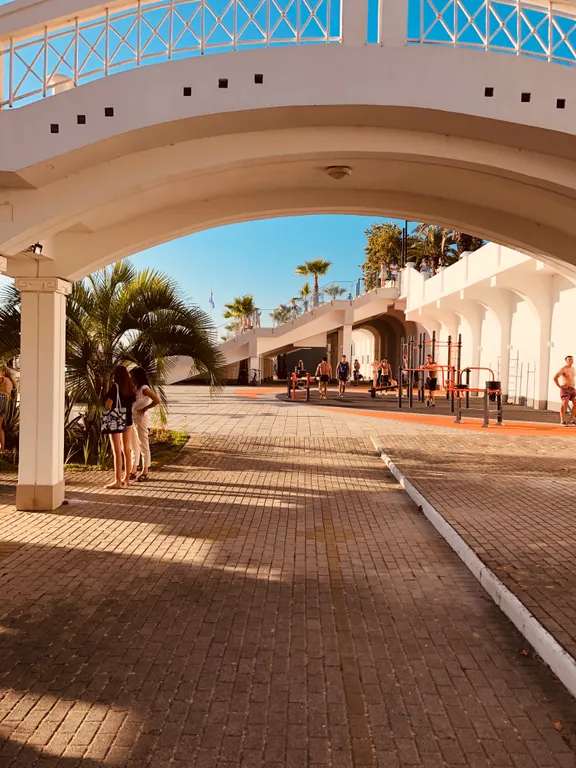 Квартира Апартаменты Светлана-Центр с видом на сад магнолий — Сочи