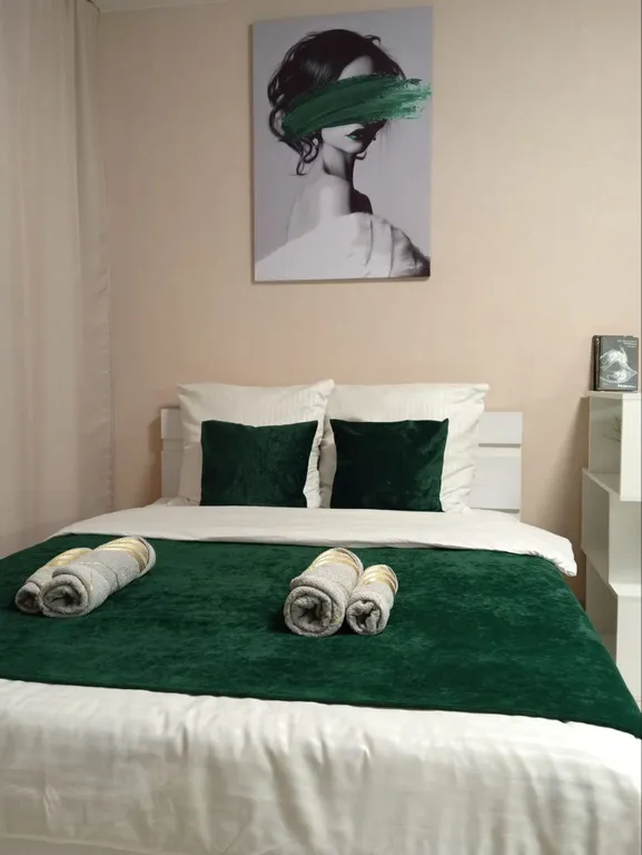 Уютная студия в ЖК Ёлки