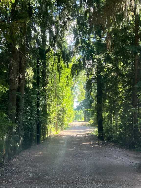 Дом с одной спальней