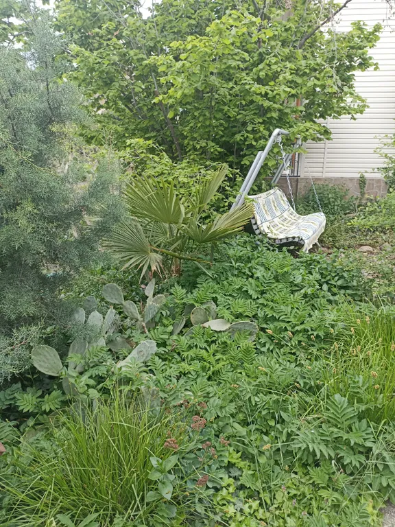 Квартира Уютные номера в зелёном оазисе — Морское