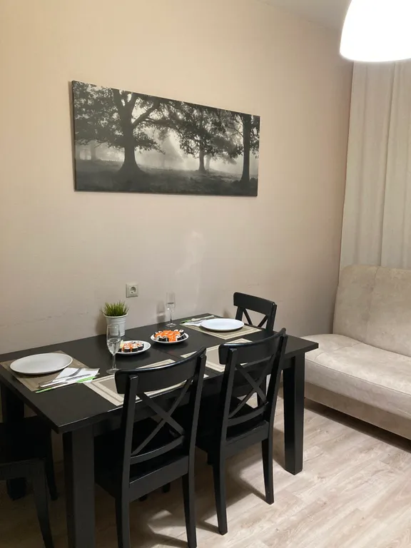 1-комнатная квартира с видом на парк За Саймой и реку Обь