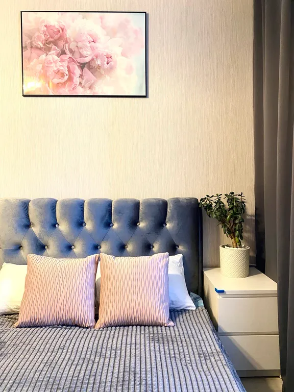 Luxury studio