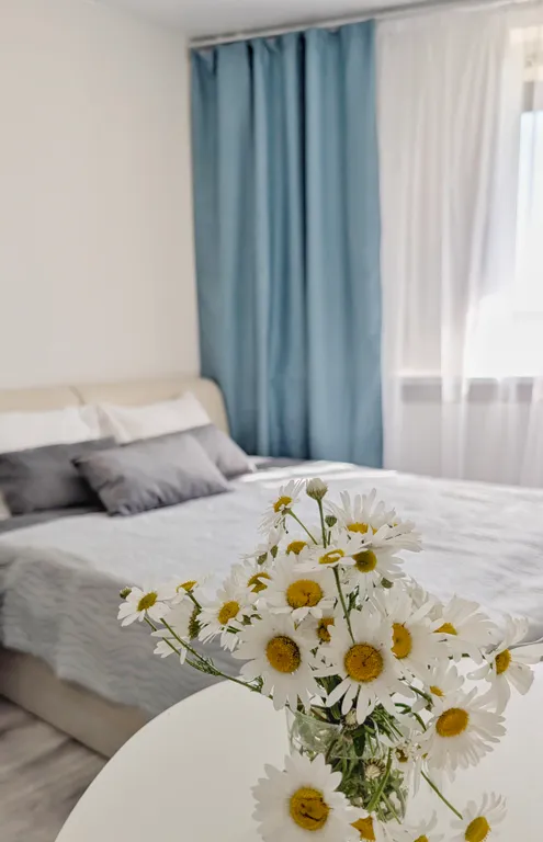 Солнечная студия во всеволожске, панорамный вид, smart tv