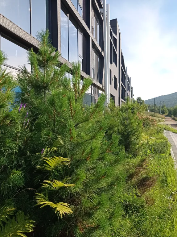 Студия - лофт с панорамным видом в центре Листвянки