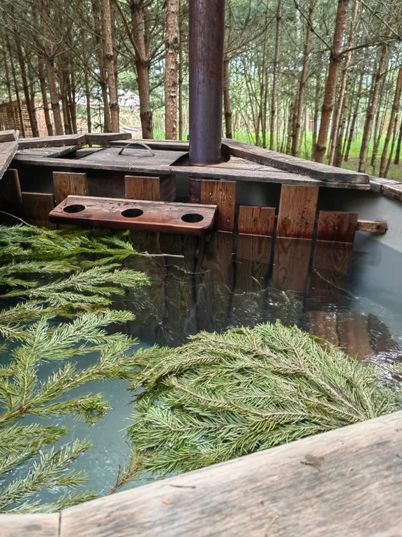 Гостевой домик A-frame в сосновом лесу