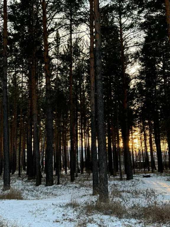 Уютная квартира в 10 минутах от Аэропорта