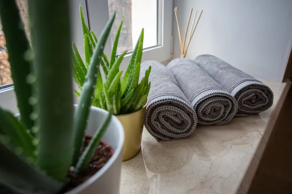 Апартаменты на 5 этаже исторического дома