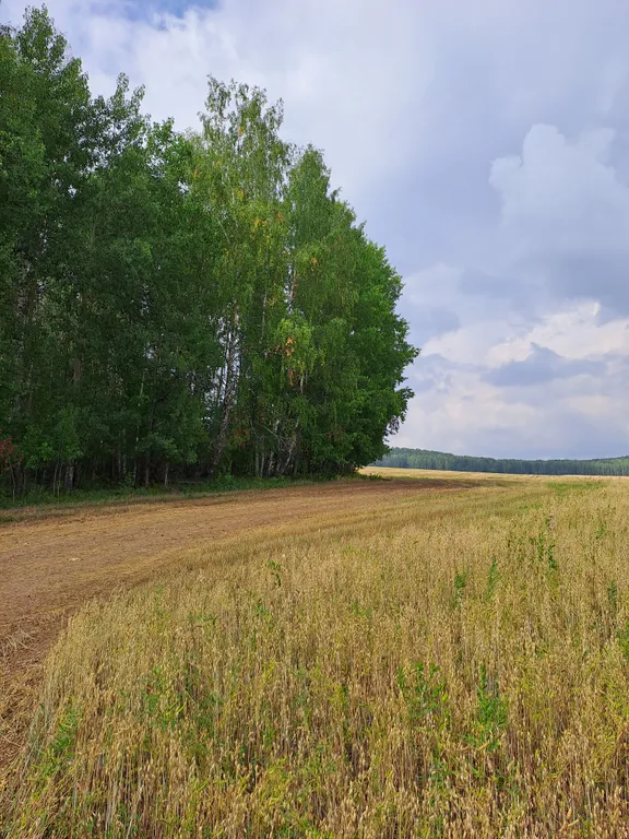 Коттедж Уютный домик в деревне — Уфа