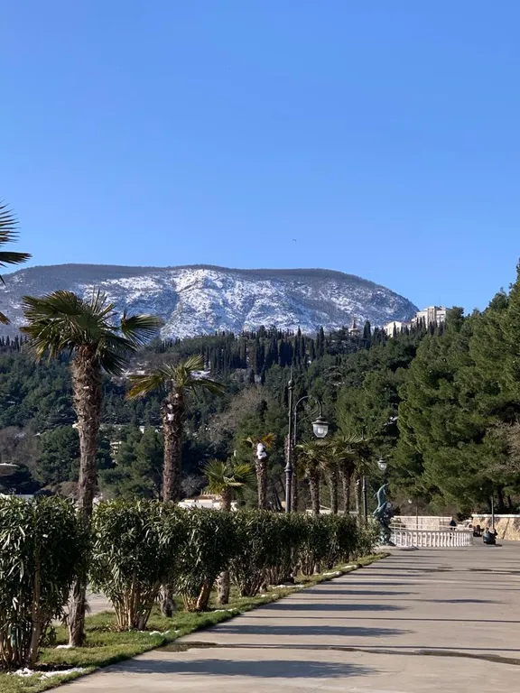 Апартамент в отеле Аюдаг Resort