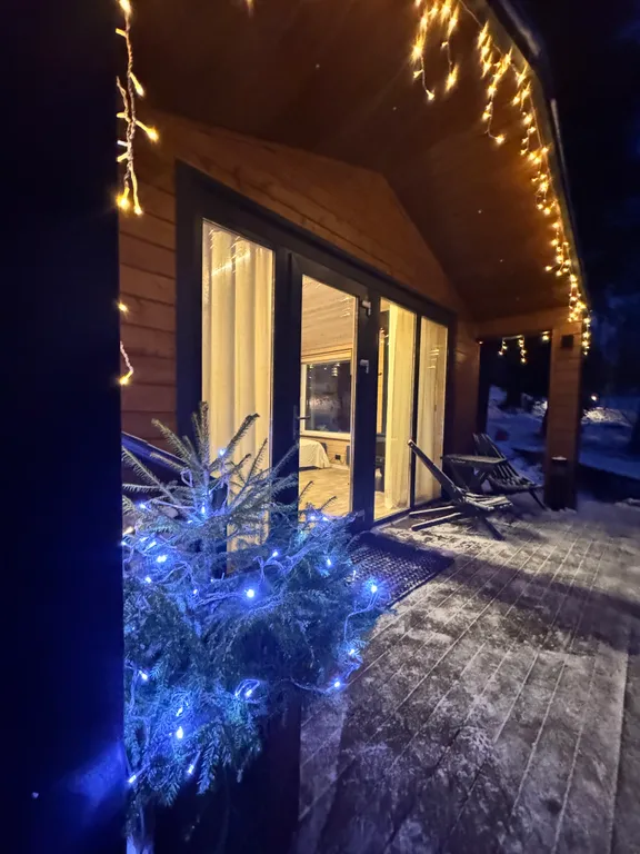 Дом на берегу реки, заснеженный лес, хаусбот