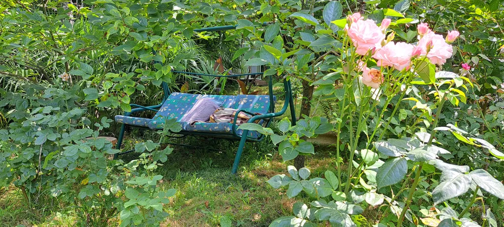 Дом в бамбуках в 500 метрах от моря