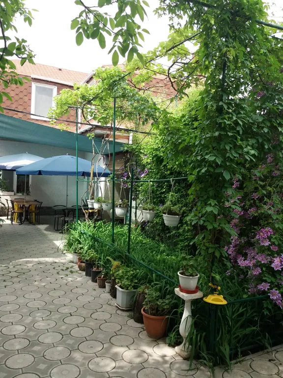 "Комфорт"с деревянной террасой