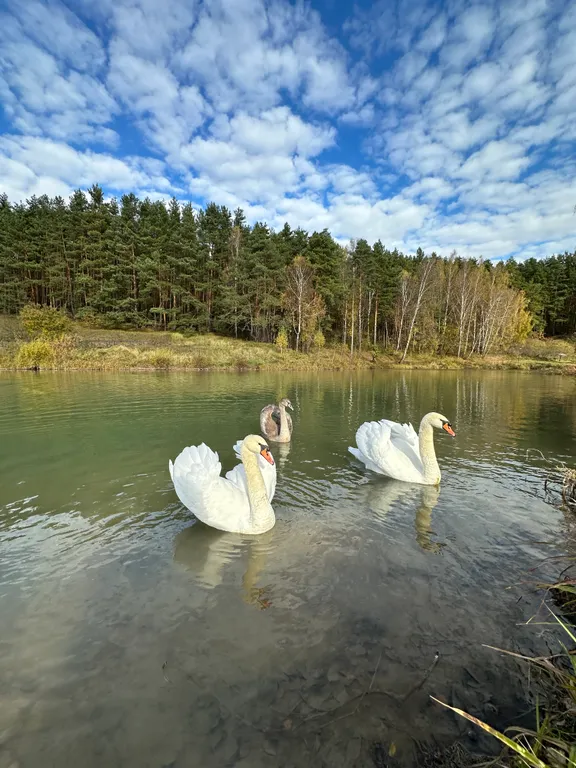 Дубльдом с видом на лес и городским комфортом в Капитан клаб