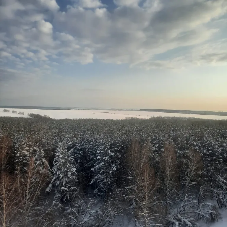 Уютная квартира для большой компании