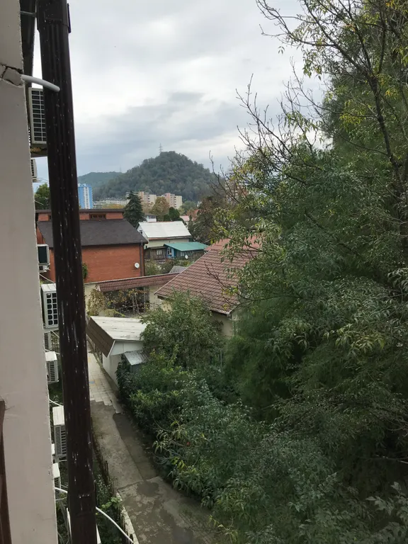 Квартира у моря в Сочи - Дагомыс.