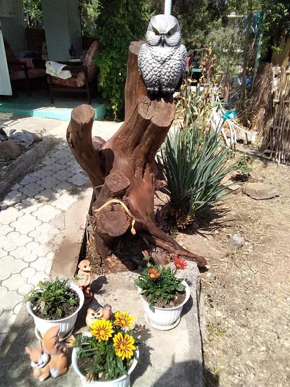 Гостевой дом Лаванда