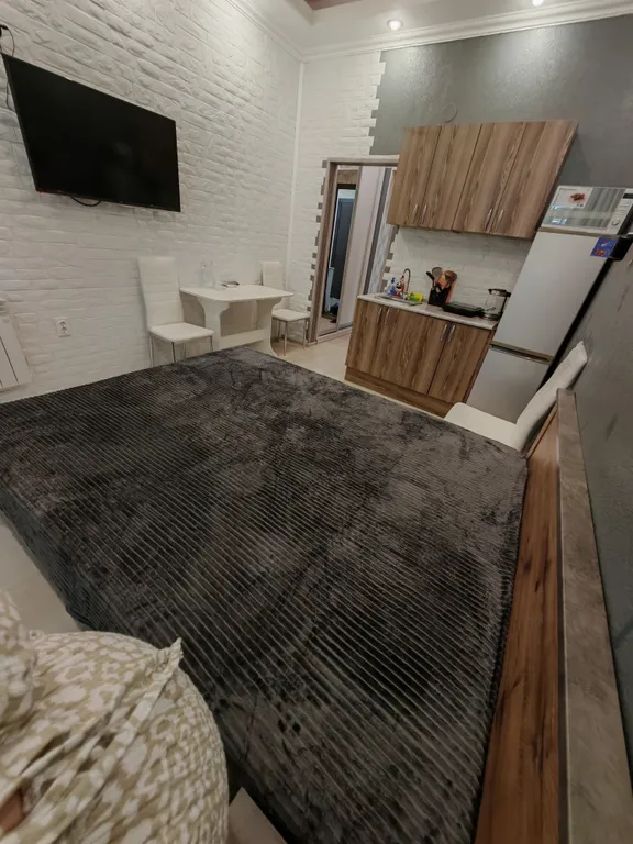 Квартира Квартира Студия с выделенной зоной лоджии на первой береговой линии — Сочи