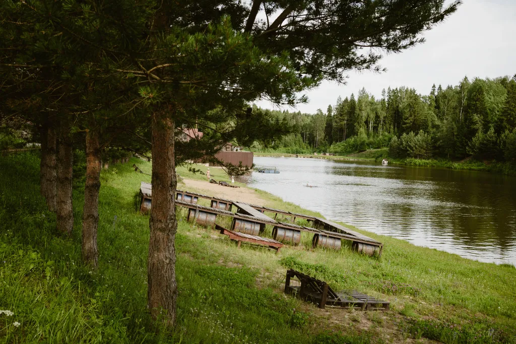 Загородный дом Парус с оленями