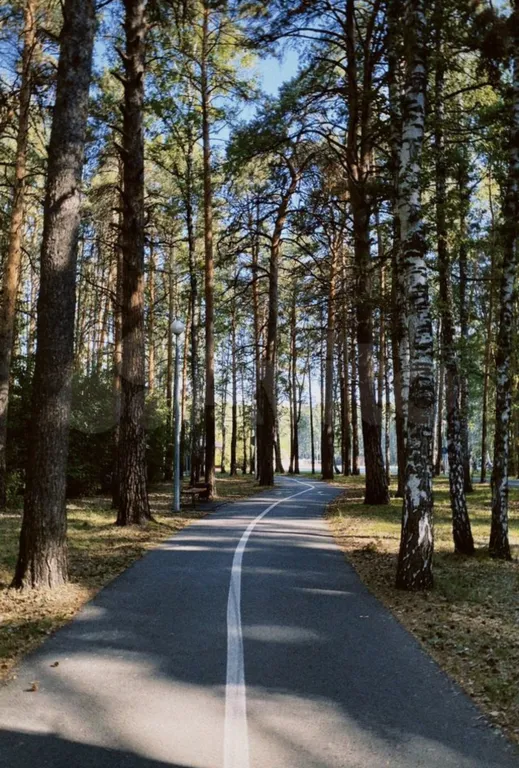 Дом рядом с Гилевской рощей